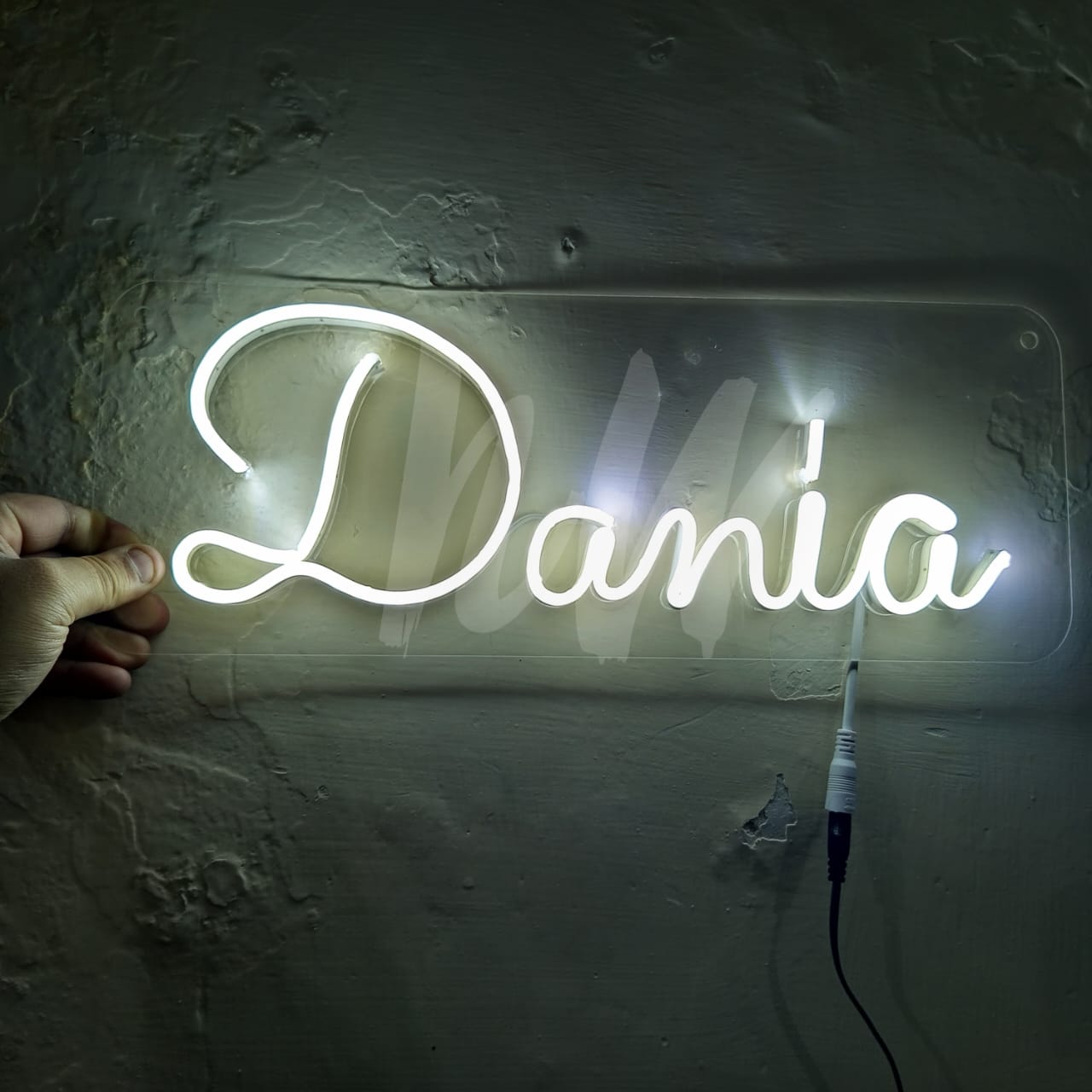 Single Name Dania Custom Neon Sign | Letters limit 1-6 | Under 1499